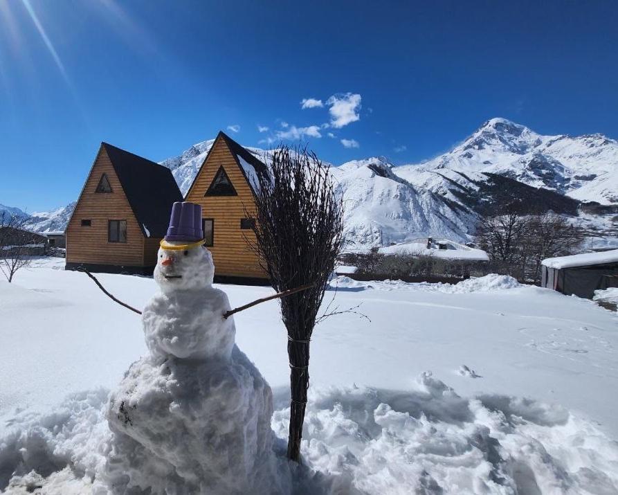 Via Kazbegi Villa Bagian luar foto